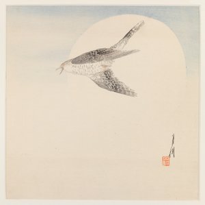 Nightingale Flying by Moon
